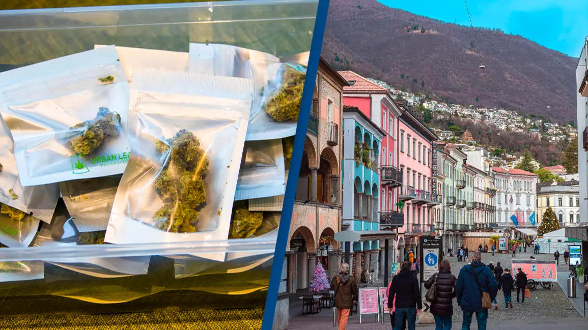 Cannabis to be legally sold in Switzerland as part of study