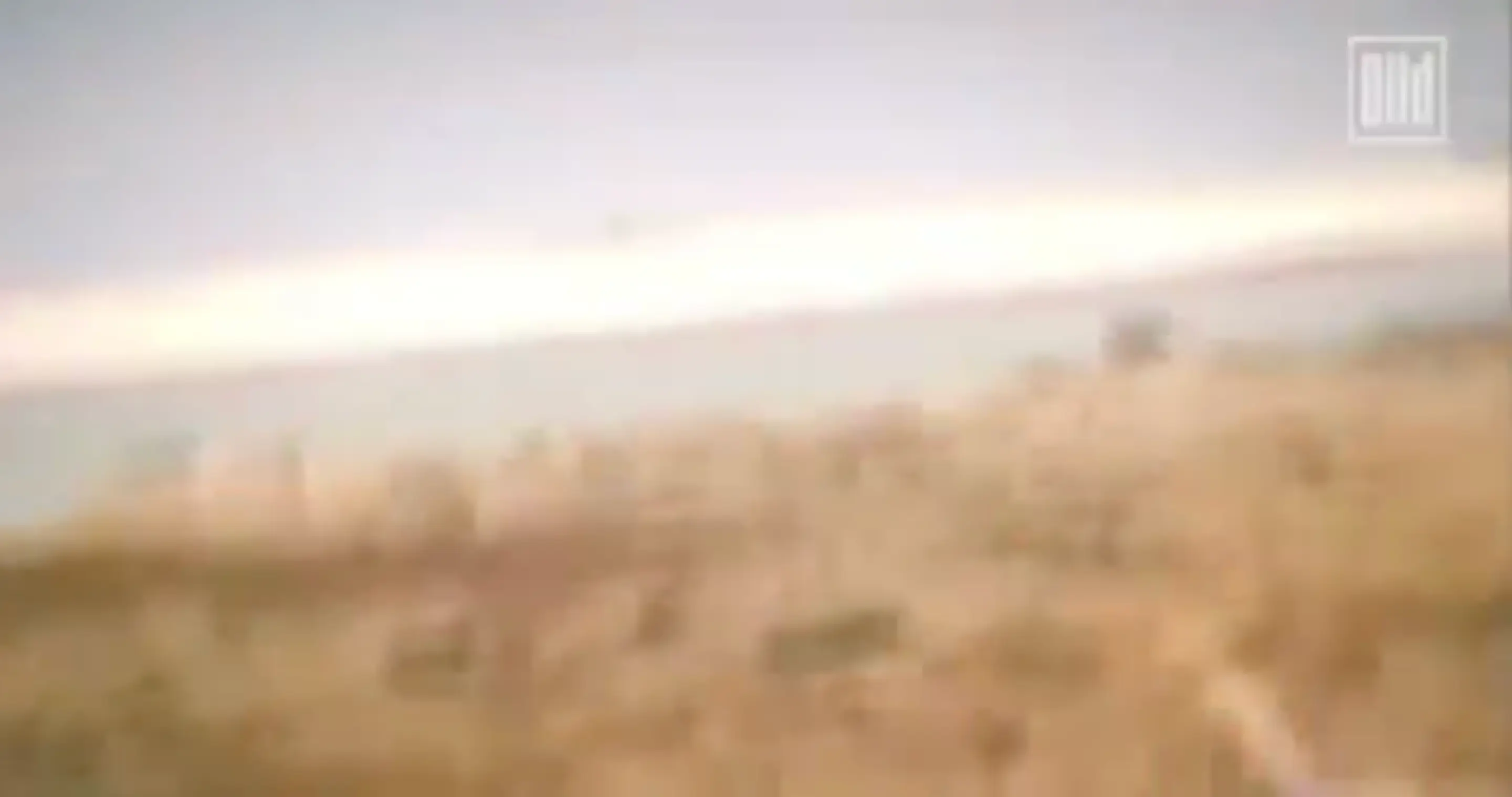 The tsunami killed more than 220,000 people. (X/@Morbidful)