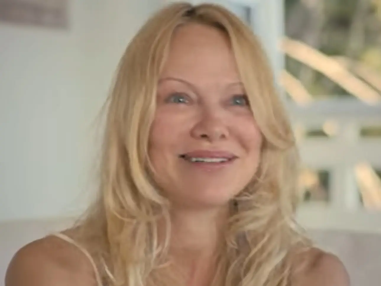 Pamela Anderson has made a Netflix documentary about her life.