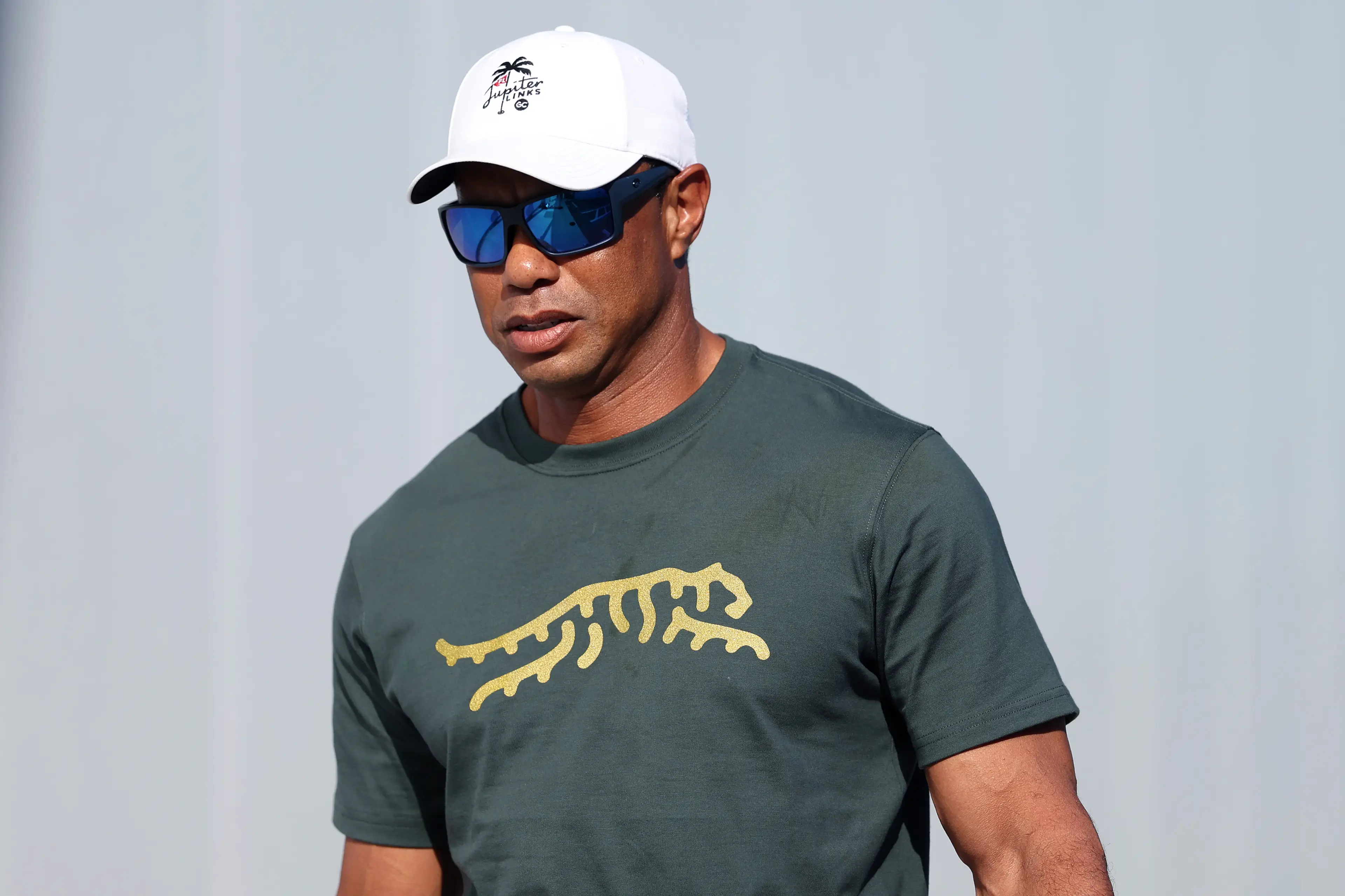 Tiger Woods was arrested on March 27 after rolling his car over (Adam Glanzman/TGL/TGL Golf via Getty Images)