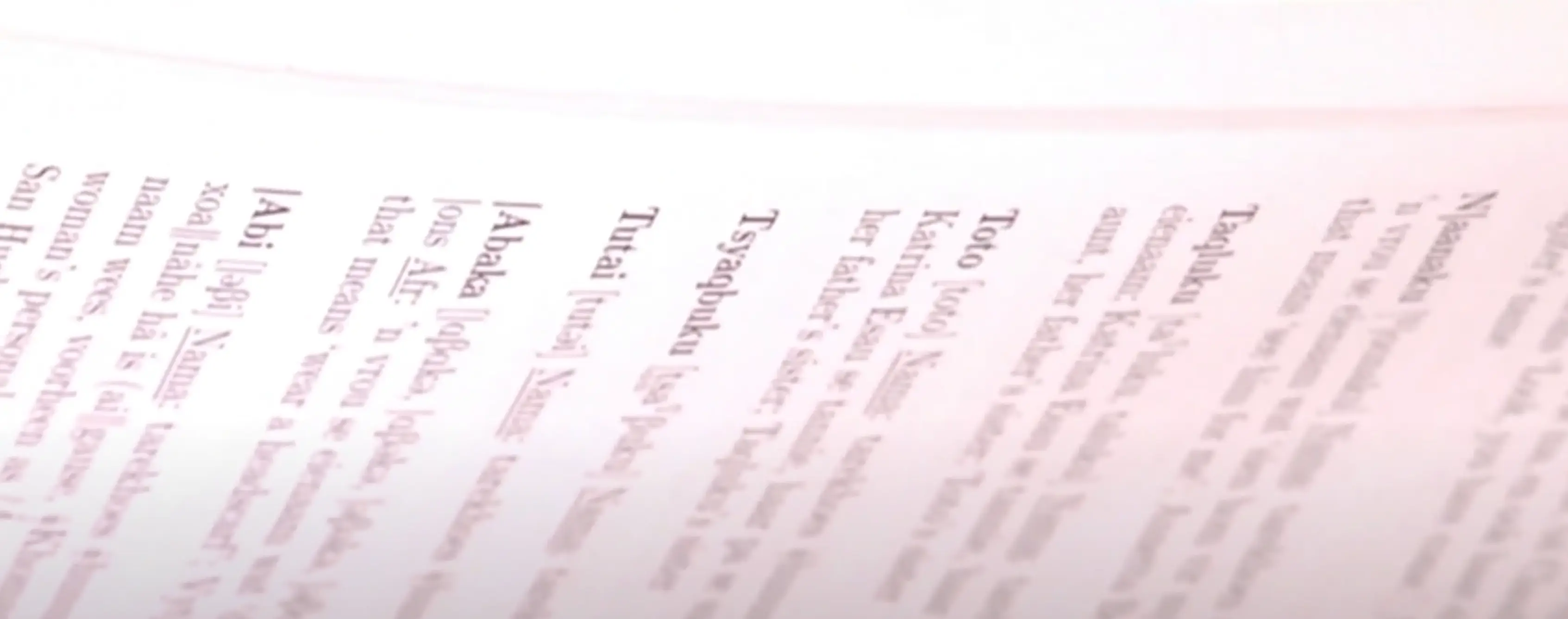 A written dictionary of N|uu has been completed. (YouTube/SABC News)