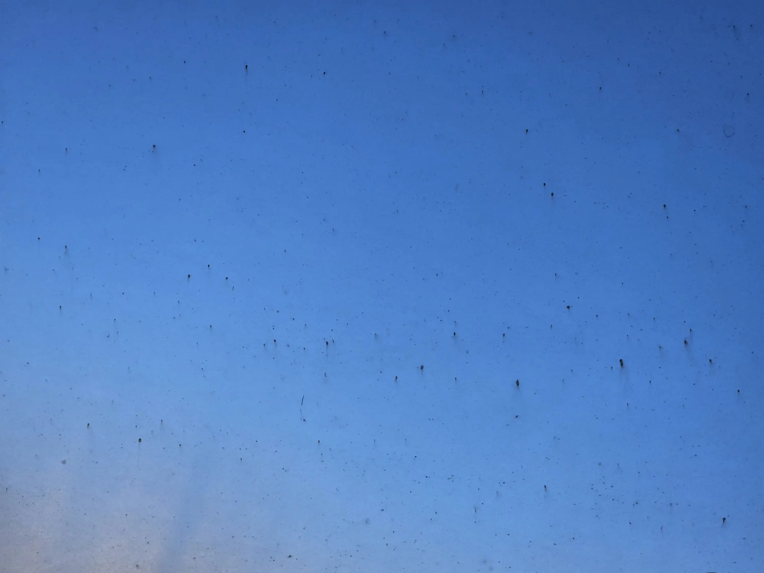 Another user said they were warned 'orange rust marks' may develop on their vehicle.