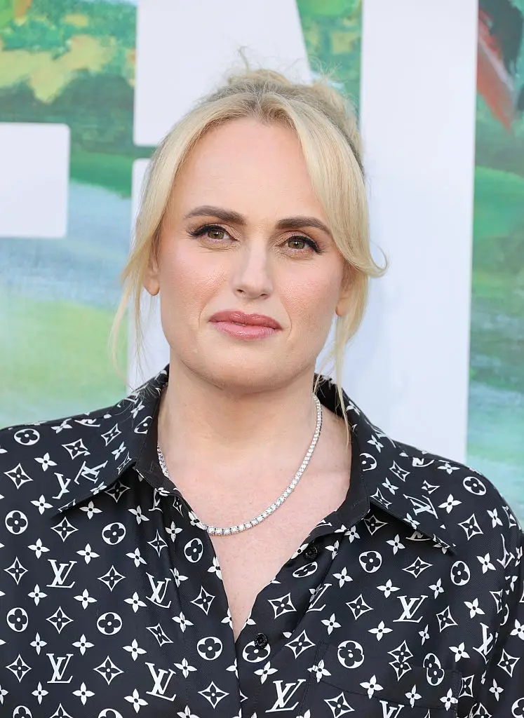 Rebel Wilson won a defamation case this year (Mike Marsland/WireImage)