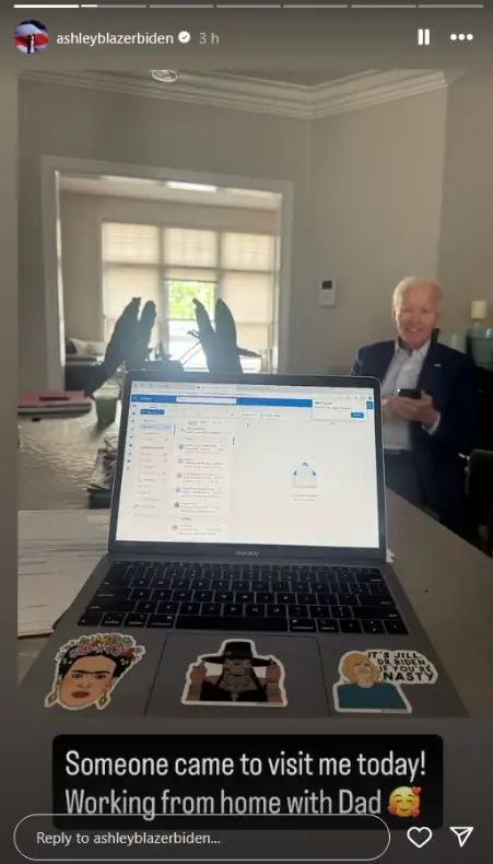 The offending sticker in question can be seen on the right (Instagram/@ashleyblazerbiden)