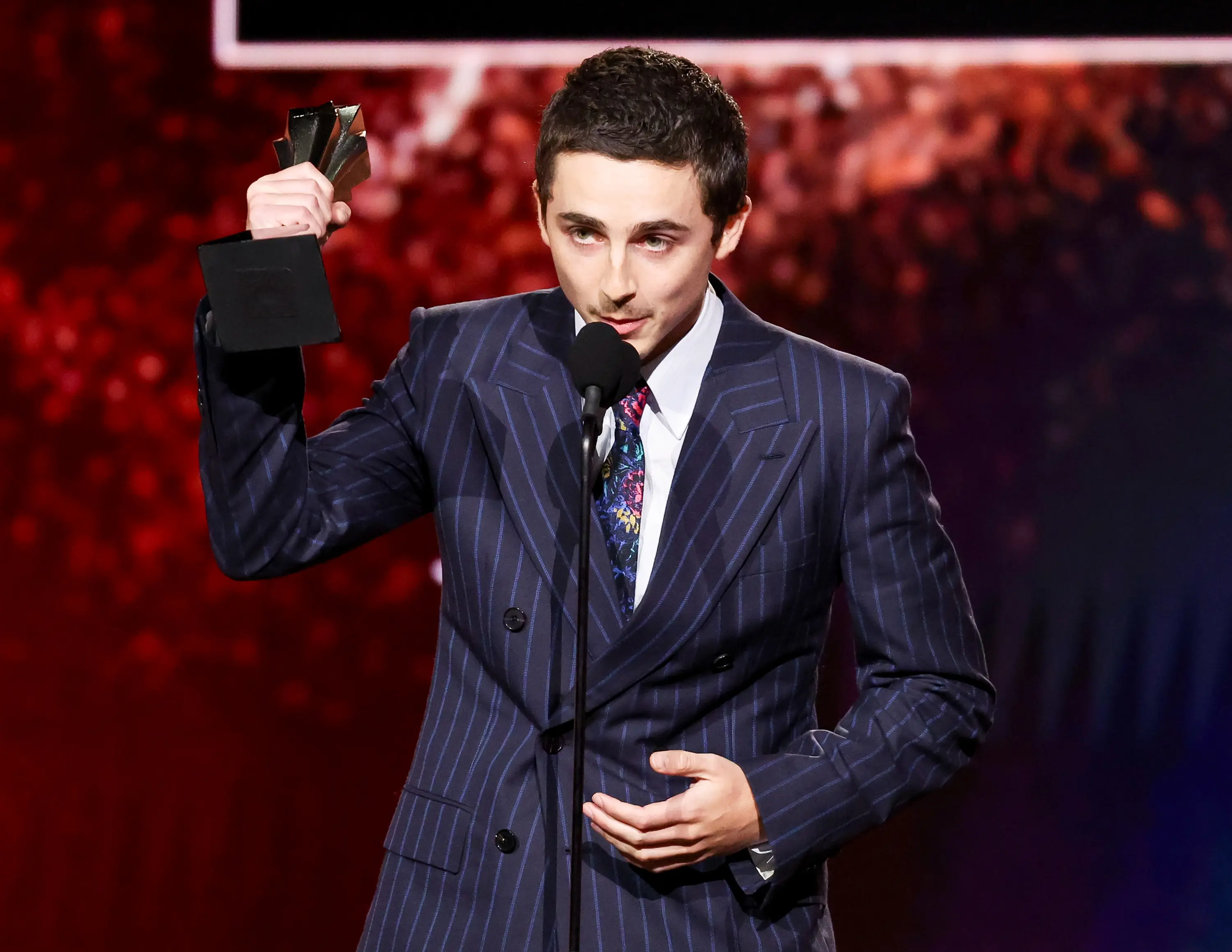 Timothée made sure to thank his 'partner' at the Critics Choice Awards (JC Olivera/Variety via Getty Images)