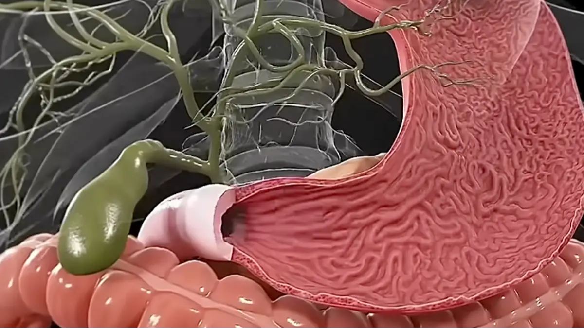 YouTube/Health_and_Fitness-w7g