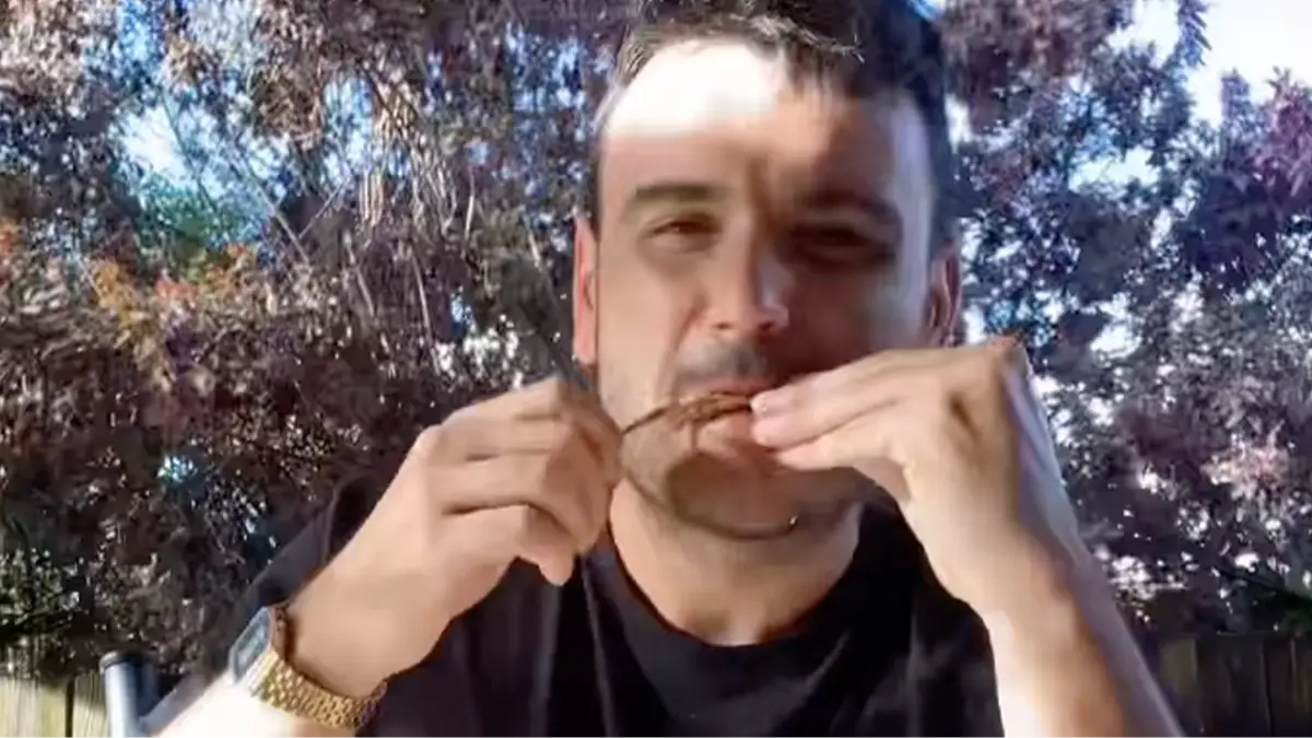 dailyroastchook/Instagram