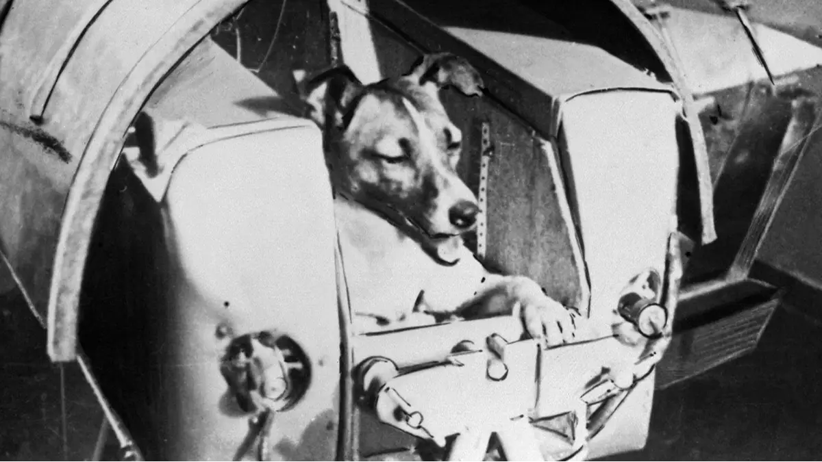 Fine Art Images/Heritage Images/Getty Images