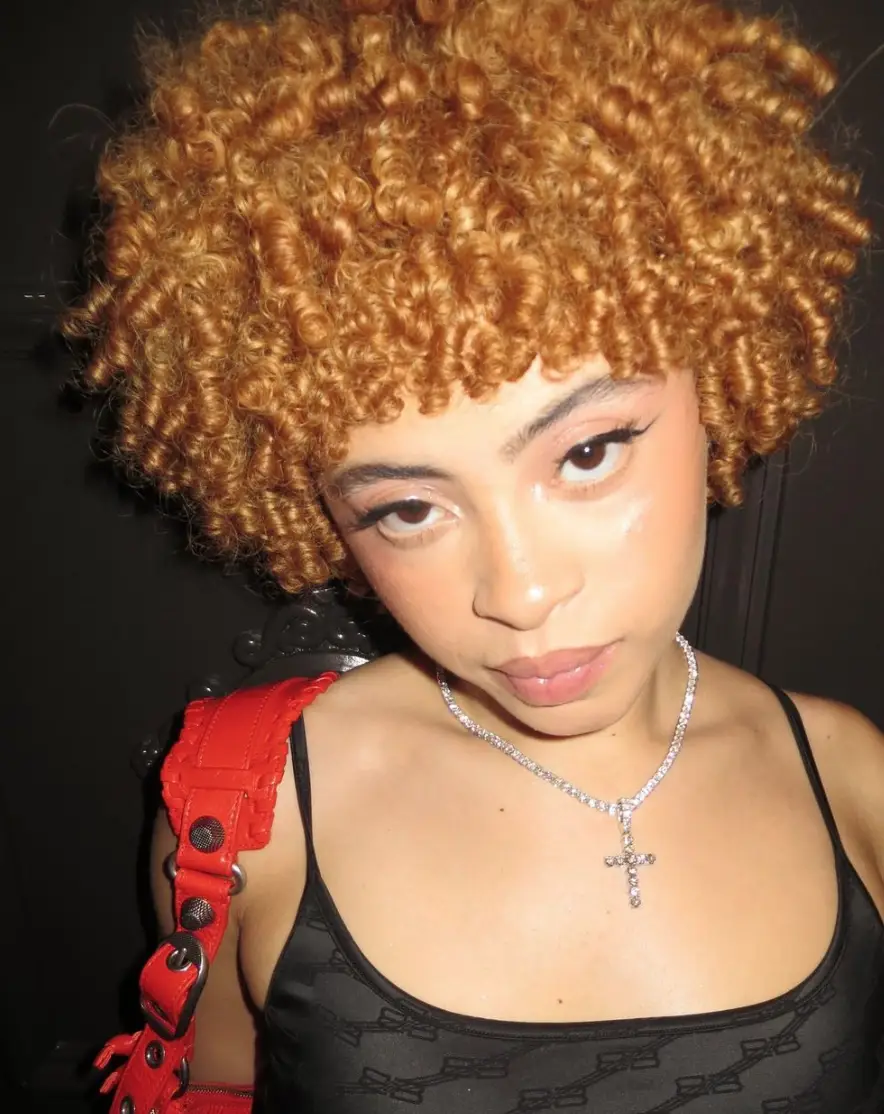 Ice Spice has responded to the comments herself.