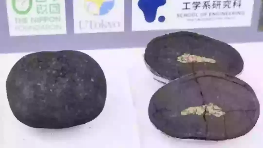 They might not look like much, but these deep-sea nodules could majorly boost Japan's economy (The Nippon Foundation)