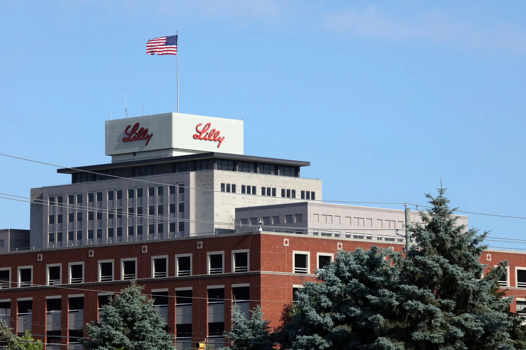 Eli Lilly is anticipating high demand for the new weight loss pill (Wellesenterprises/Getty Images)