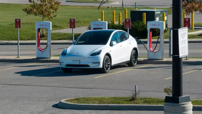 Tesla owners might want to personally contact Musk if they have problems.