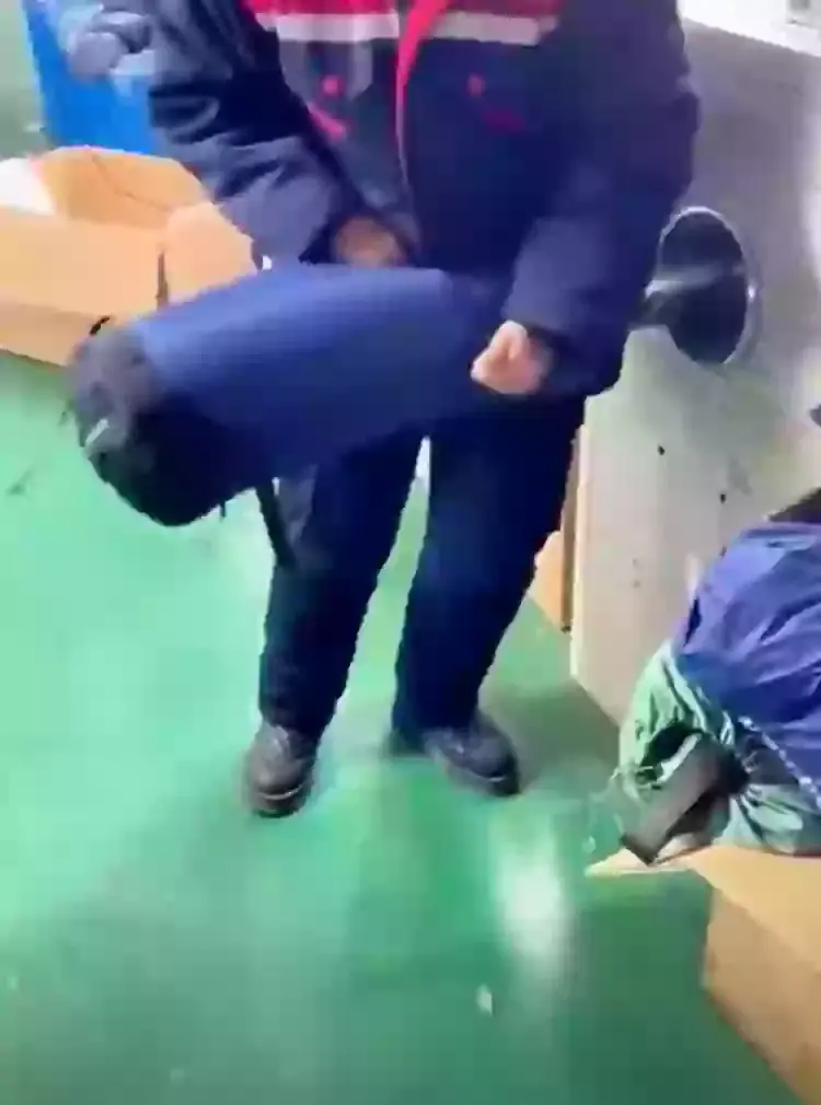 They made it look so easy. (Reddit/dannybluey)