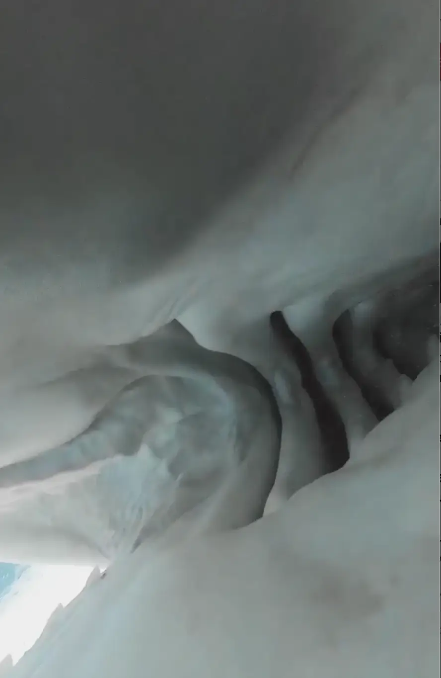 The shark took a bite, before growing bored and swimming off.