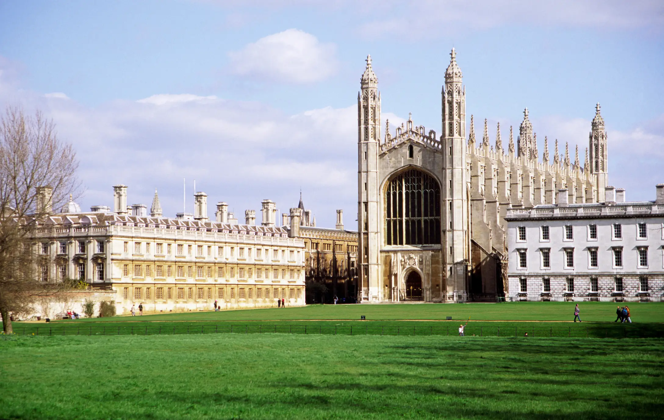 The University of Cambridge conducted the research across 30 million dementia patients (Andrew Holt/Getty Images)