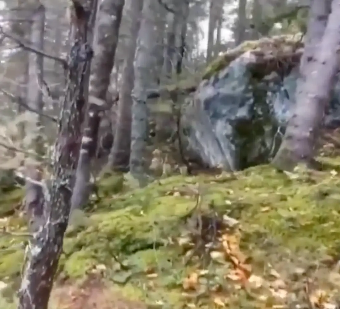 It's all down to a natural phenomenon.