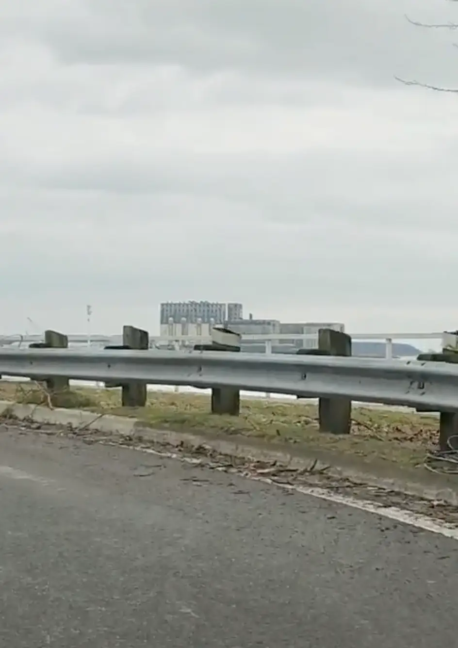 It looks significantly smaller at the end of the video (Shannon Brown via ViralHog)