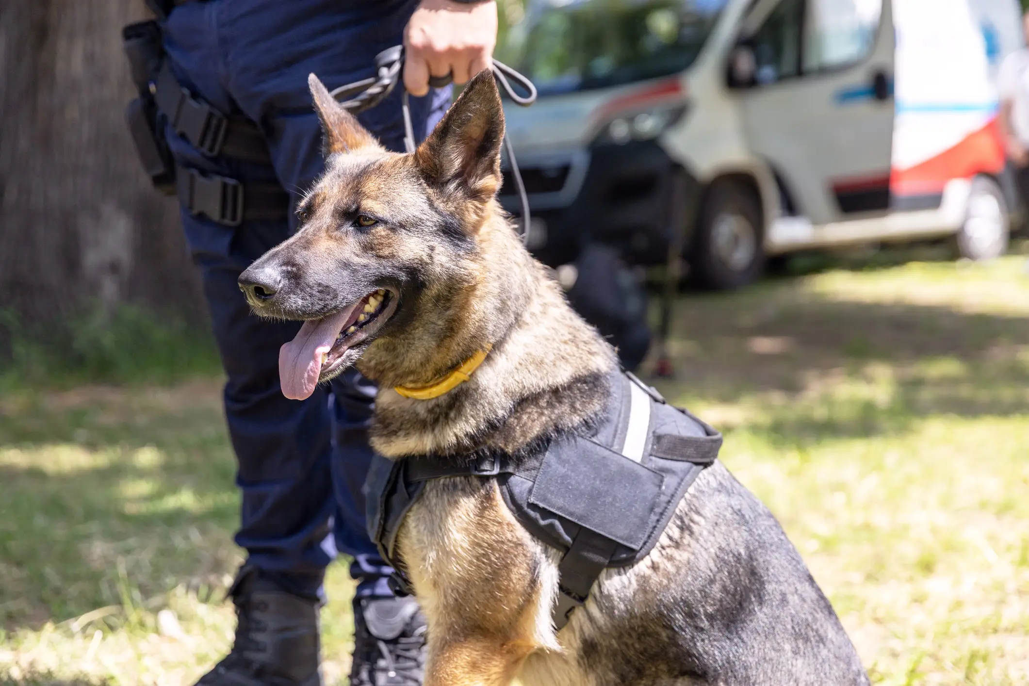 A bomb squad and K9 unit was deployed to the airport (Getty Stock Images)