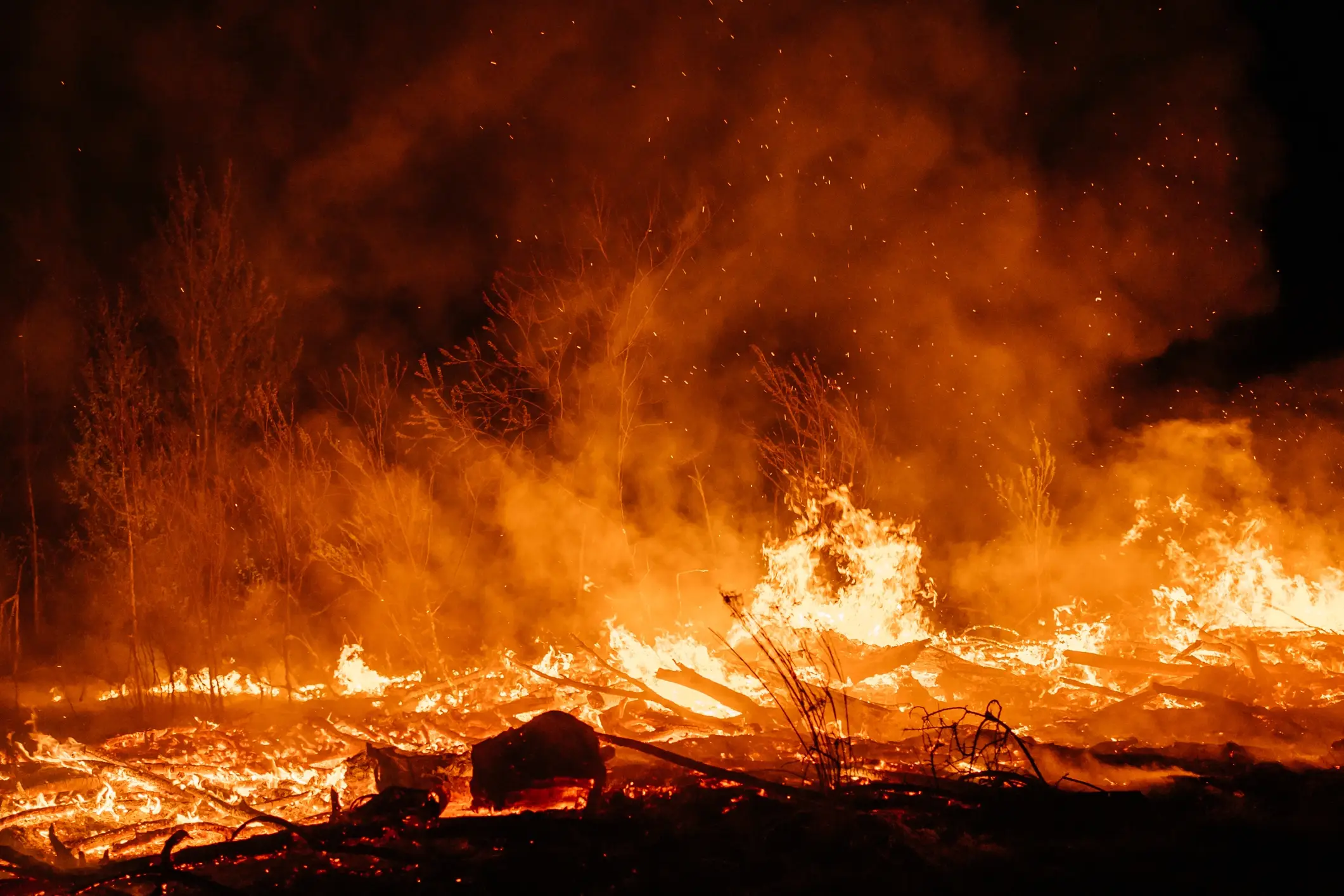 The Super El Niño could mean more forest fires for part of the USA. (Getty stock image)