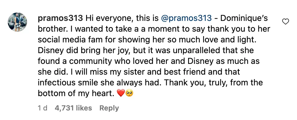 Someone claiming to be Dominique's brother commented on her final post (dominiquebrown/Instagram)