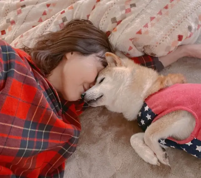 Kabosu the Shiba Inu is suffering from leukaemia and liver disease.