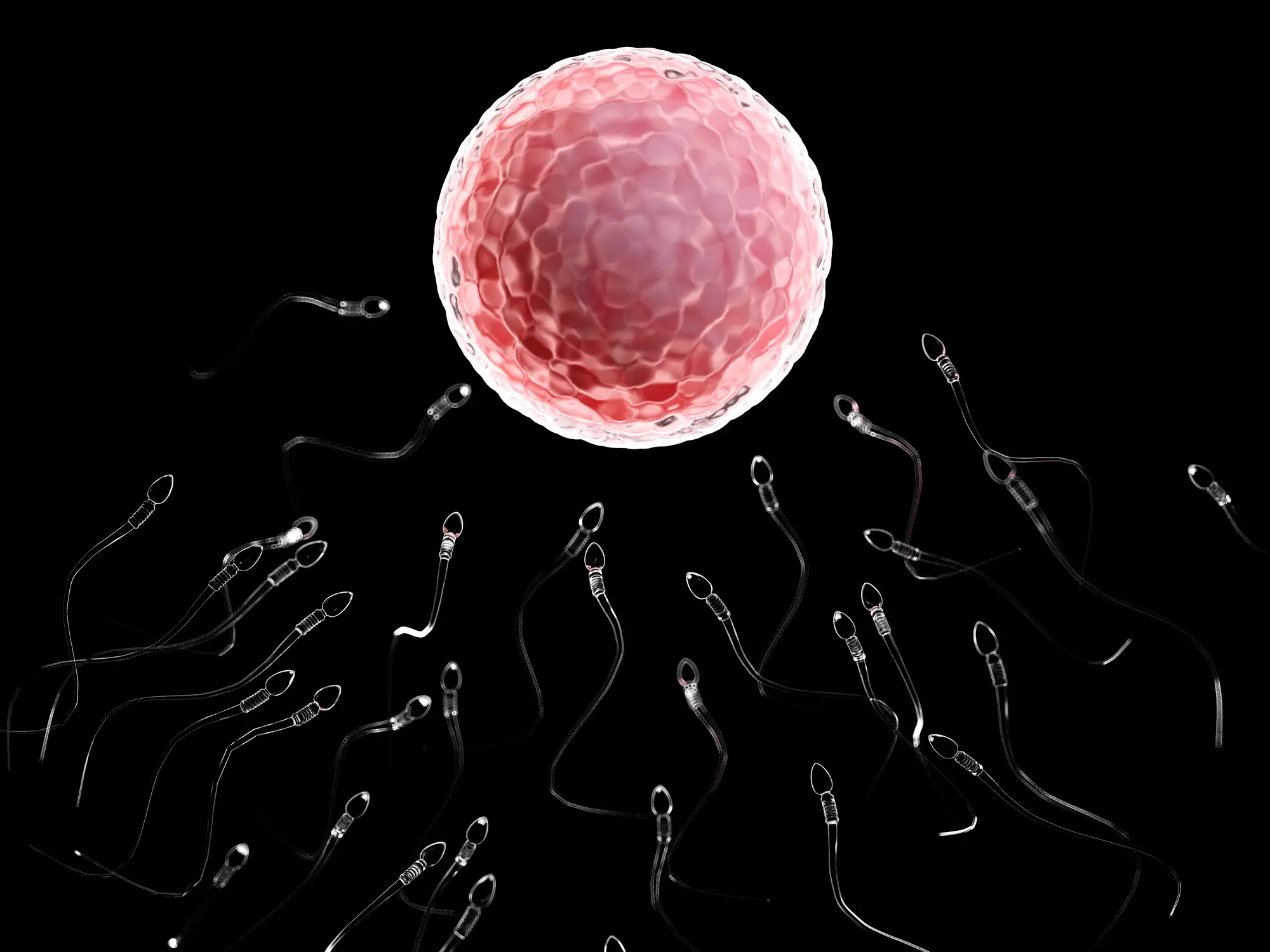 Dr Bobby Najari explained that the most common cause of male infertility is a varicocele (Getty Stock Photo)