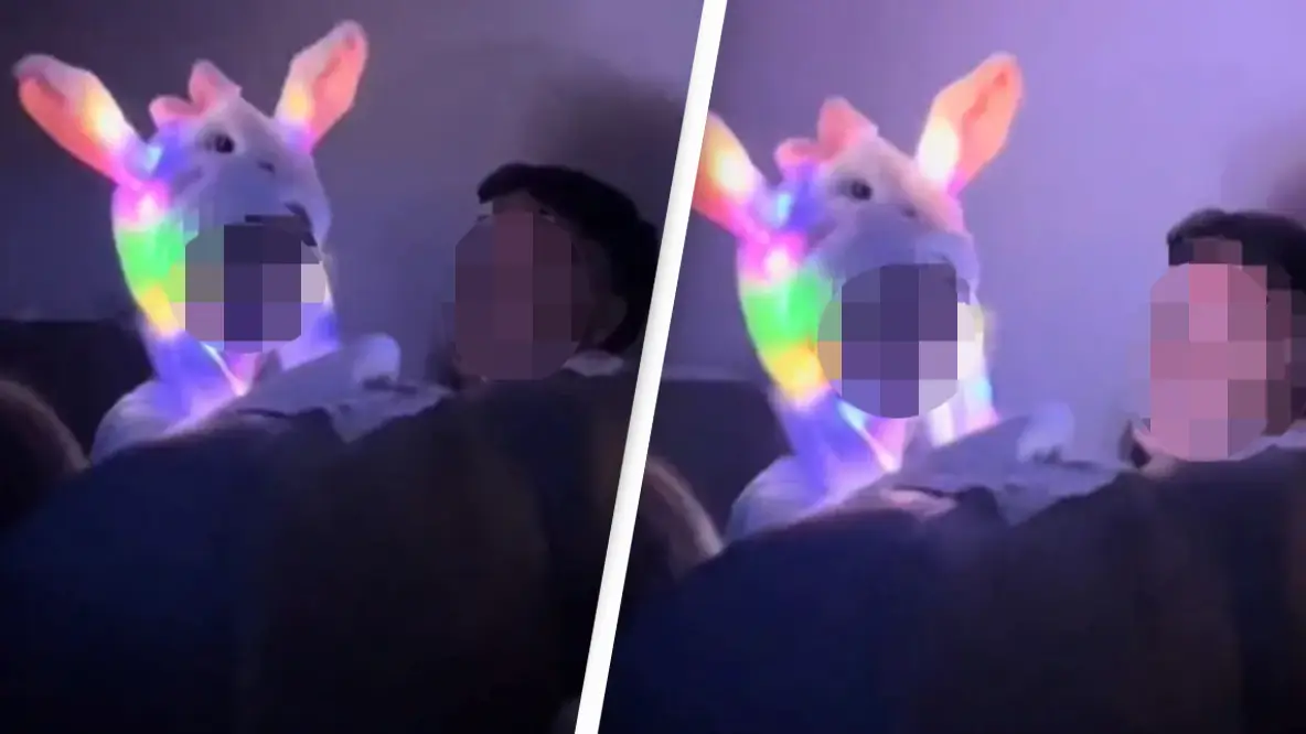 TikTok/@malecastellonn