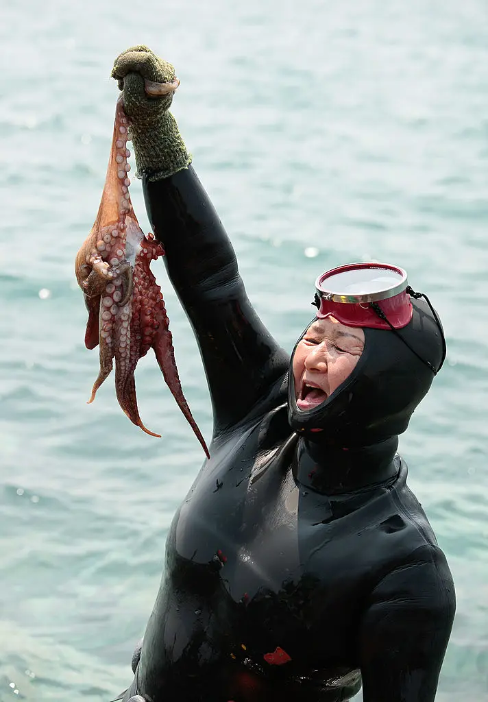 The haenyeo of Jeju Island have been free-diving for seafood without oxygen tanks for centuries. (Douglas McDonald/Getty Images)