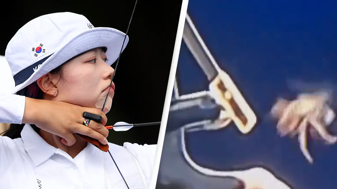 People spot moment bee almost completely ruins Olympic archer's shot in one-in-a-million incident