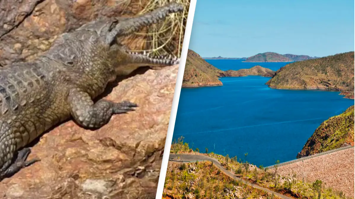 Crocodile Shot Dead After Attacking Swimming Woman