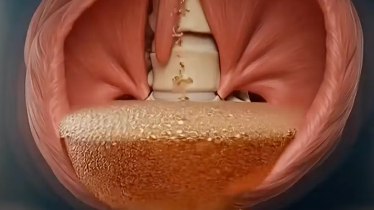 @‌dr.boogie/TikTok