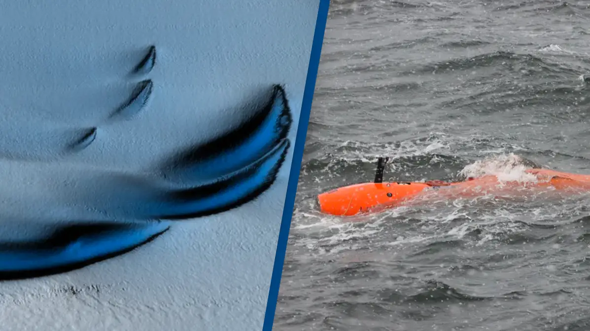 Filip Stedt / University of Gothenburg, courtesy of Anna Wåhlin