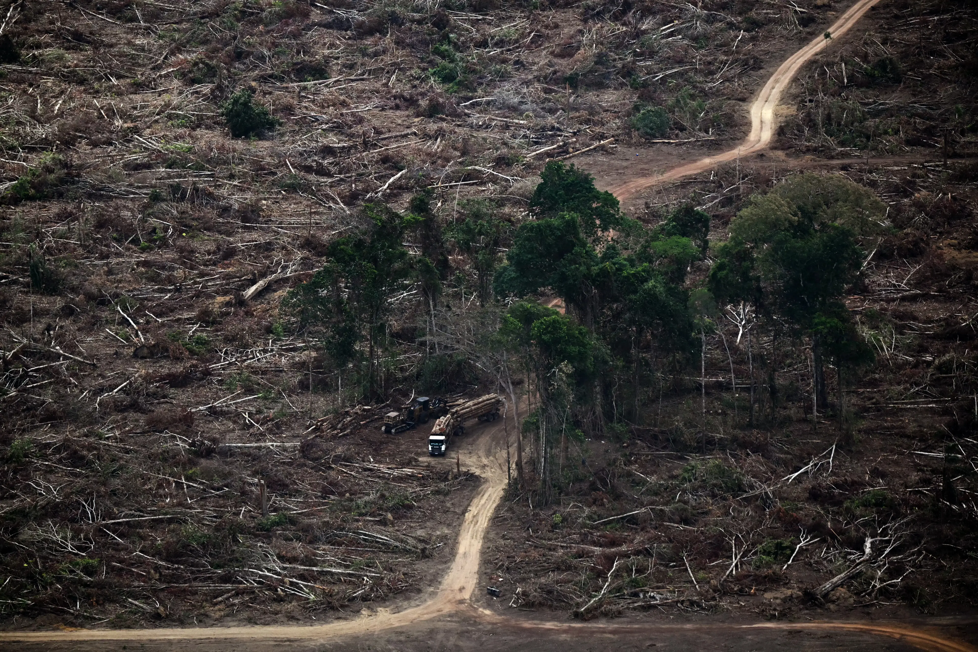 Logging, like this in Brazil, is a huge threat to uncontacted tribes (MAURO PIMENTEL/AFP via Getty Images)