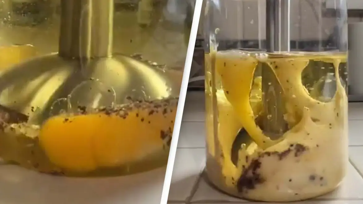 Instagram/@bentleeyeats