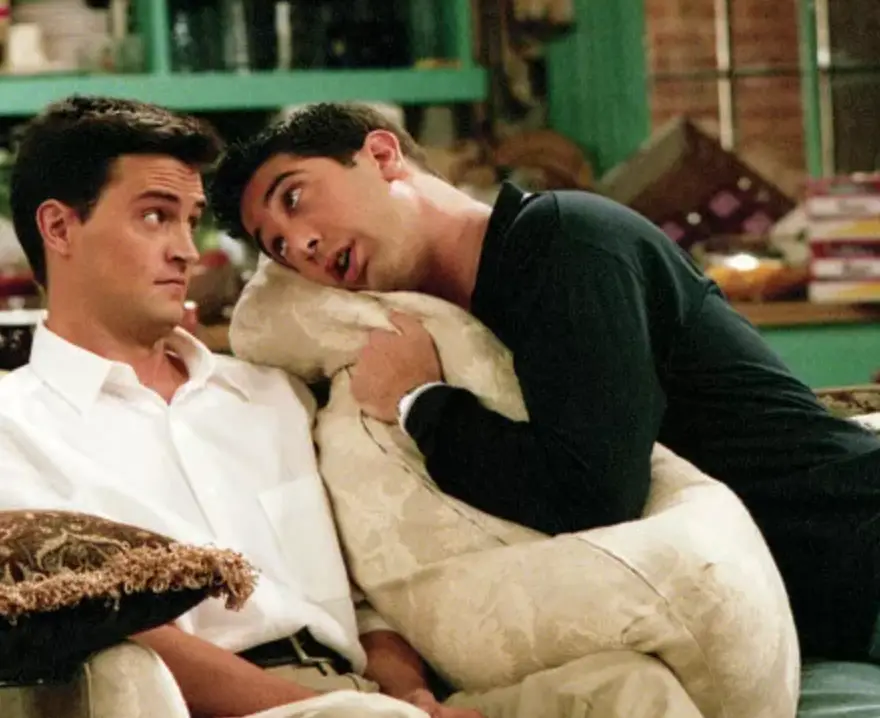 Perry and Schwimmer worked together for a decade on Friends (Warner Bros.)
