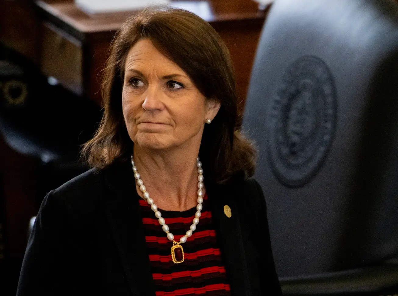 Angela Paxton's bill will force online retailers to check ID before purchases can be made (Brandon Bell/Getty Images)