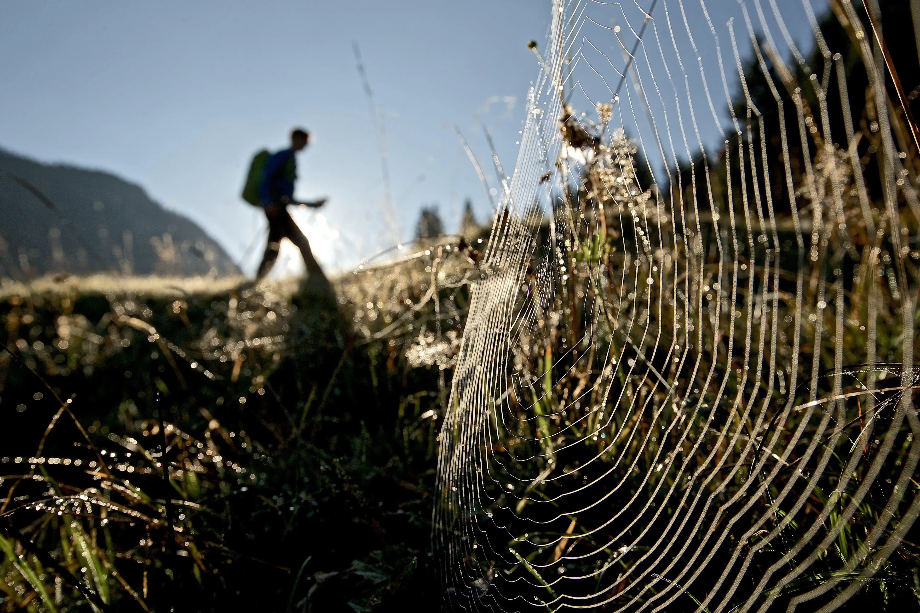 No one has ever completed the 22,000km journey.