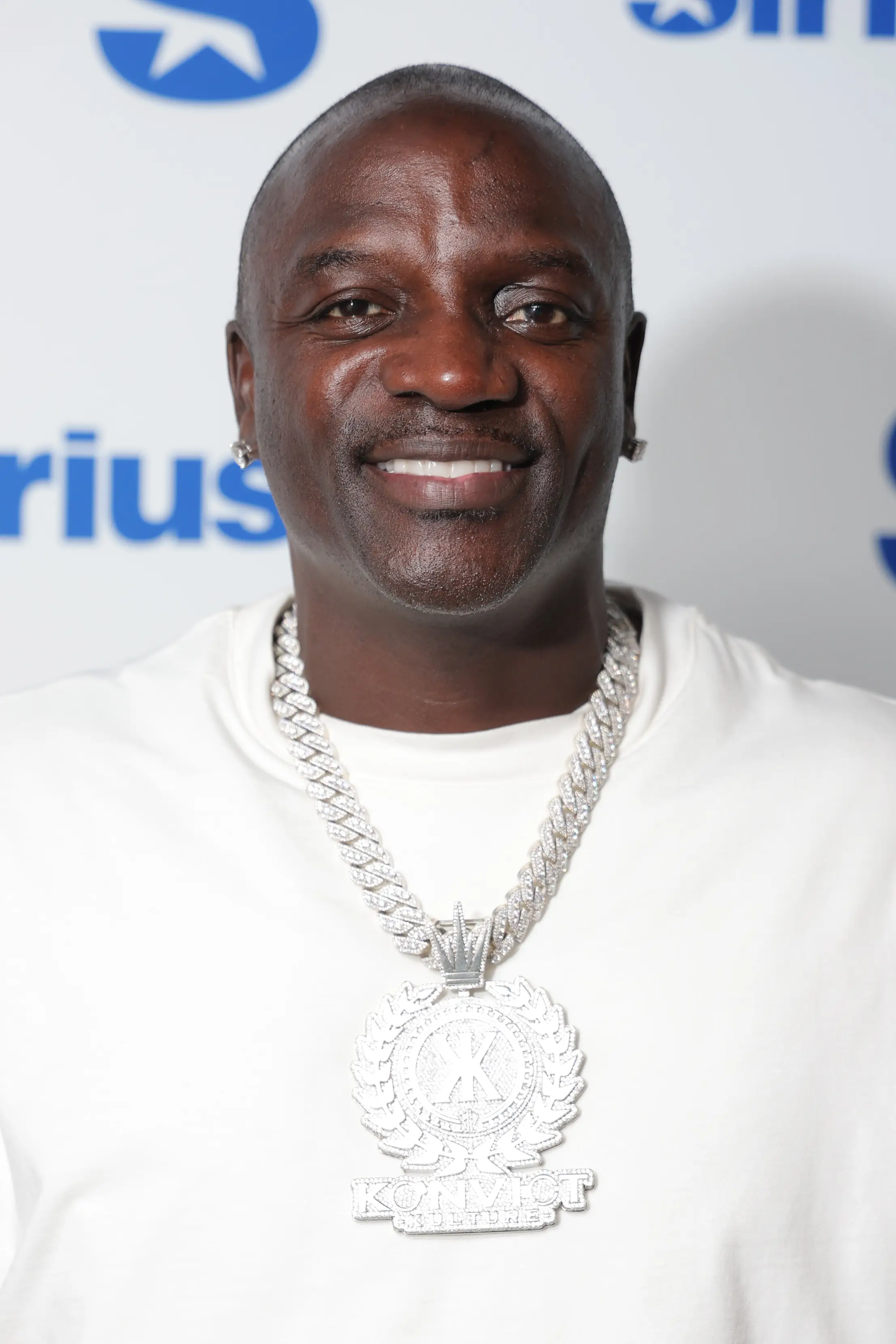 The reason Akon was arrested has been revealed (Michael Loccisano/Getty Images)