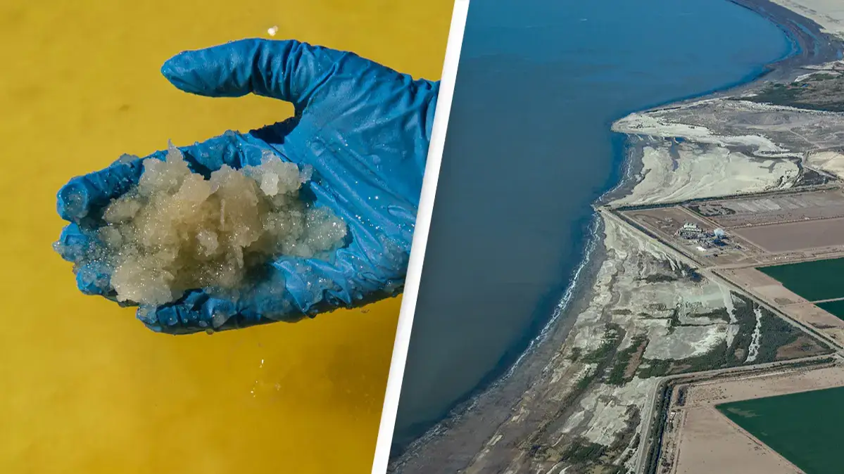 MARTIN BERNETTI/AFP via Getty Images / Brian van der Brug / Los Angeles Times via Getty Images