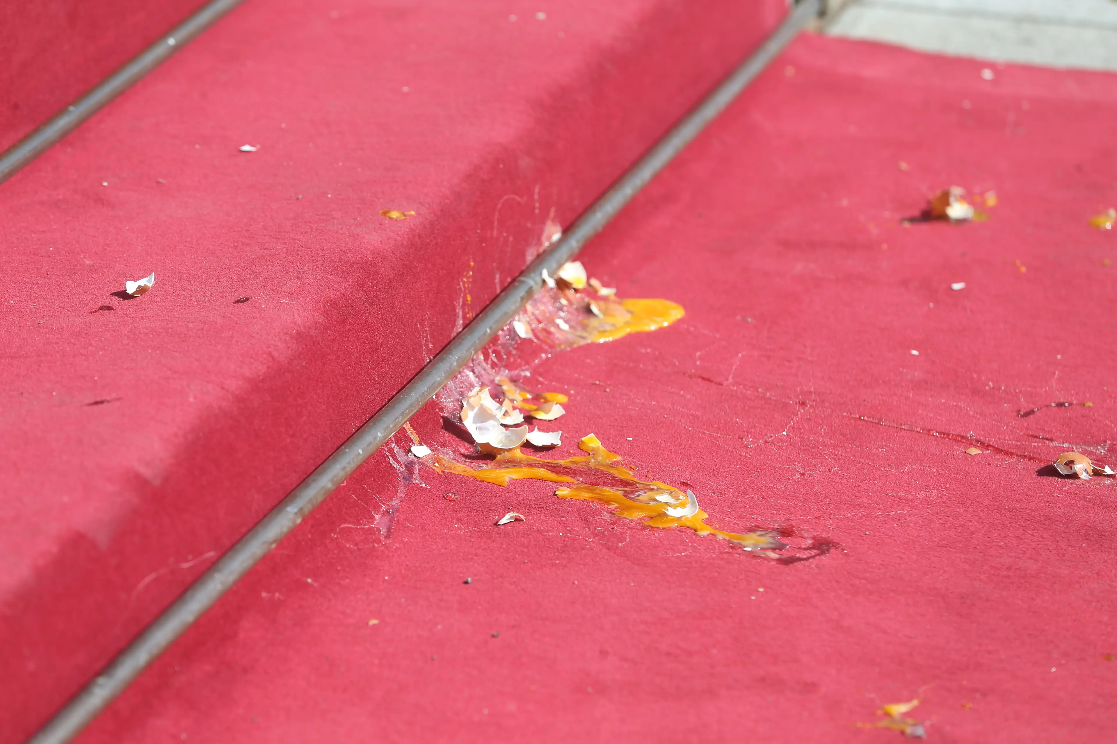 Protestors also gathered outside parliament throwing eggs (Filip Stevanovic/Anadolu via Getty Images) 