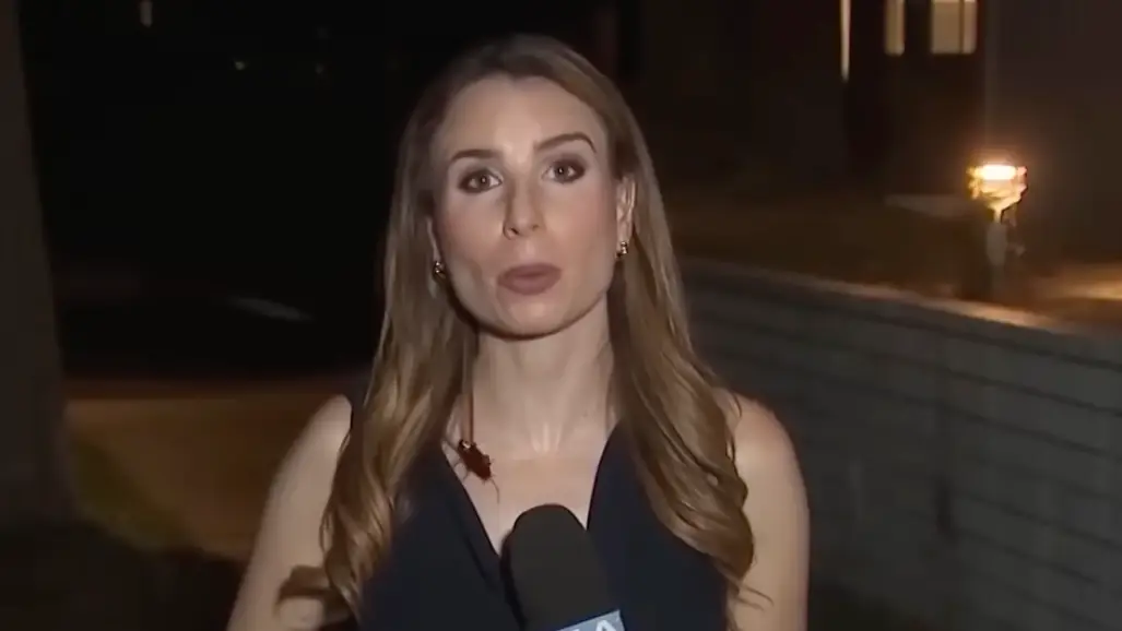 KTLA 5 via YouTube
