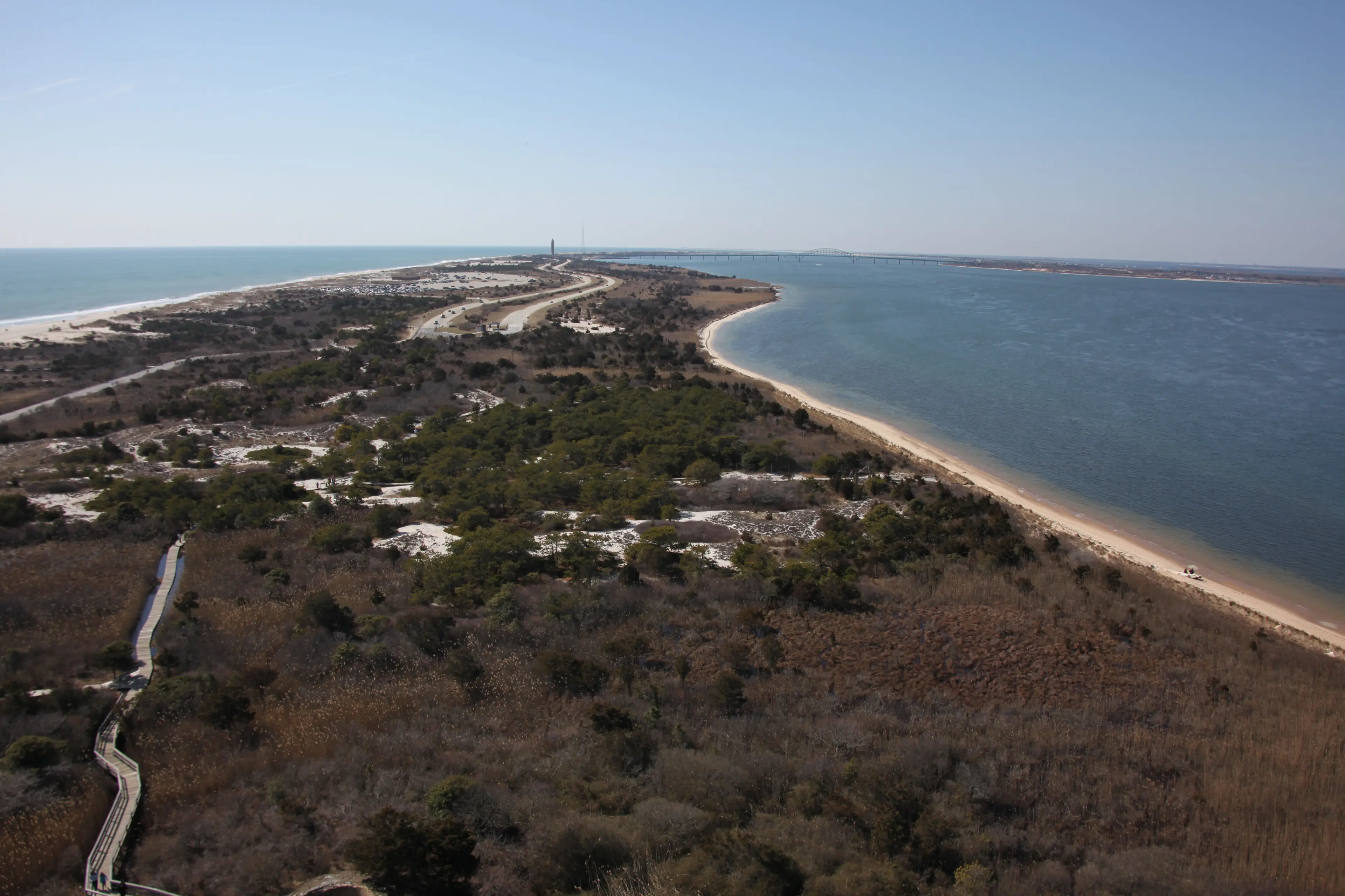 Dr Moy set off to sea from Fire Island.