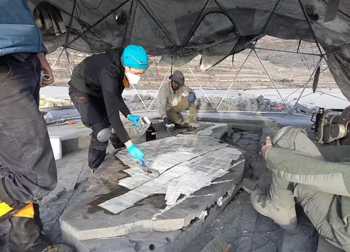 The team out in Chile under a hangar to help combat the extreme weather conditions.