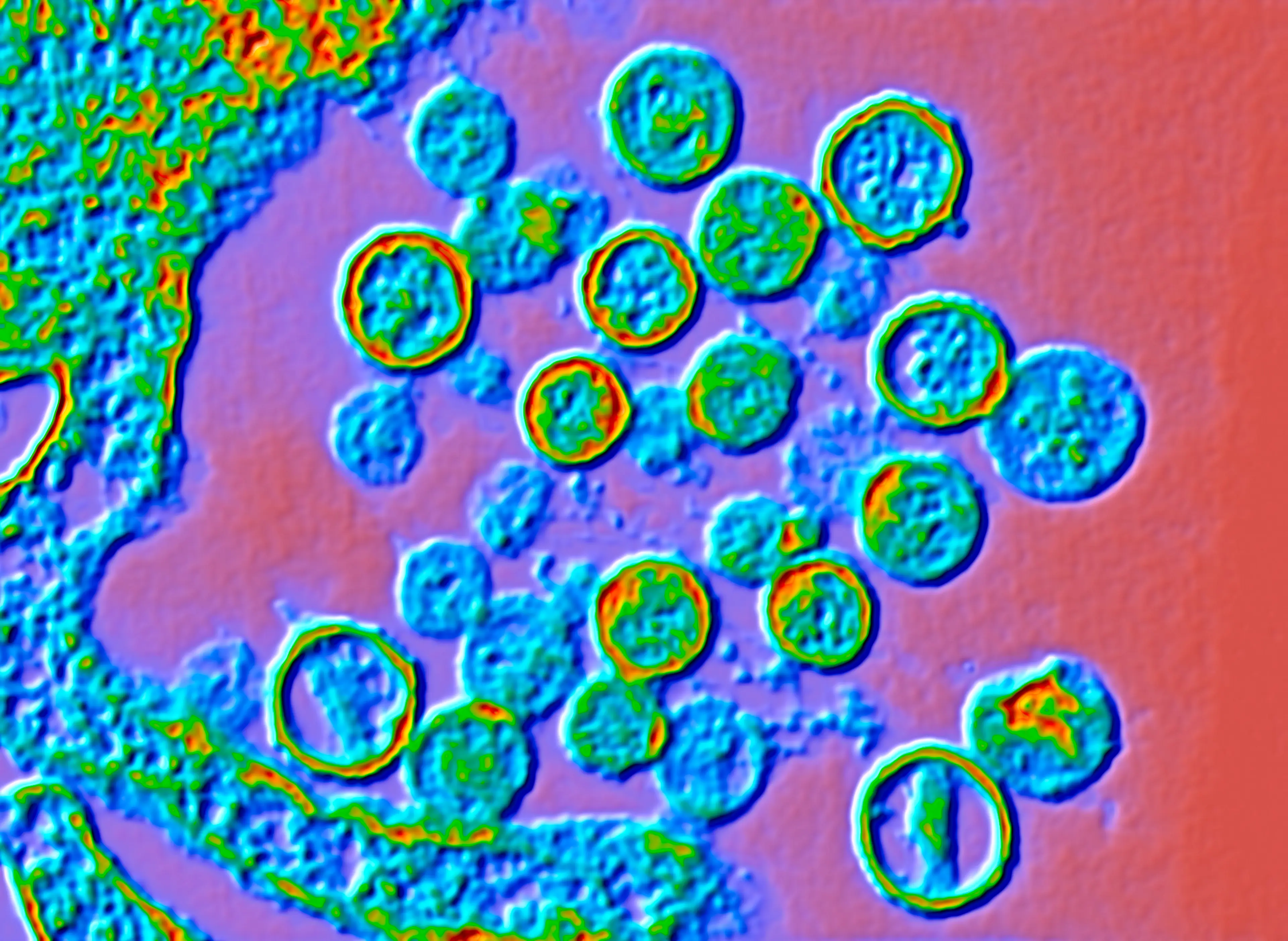 There are things people can be doing to stop the spread of the virus (Getty Stock Image)