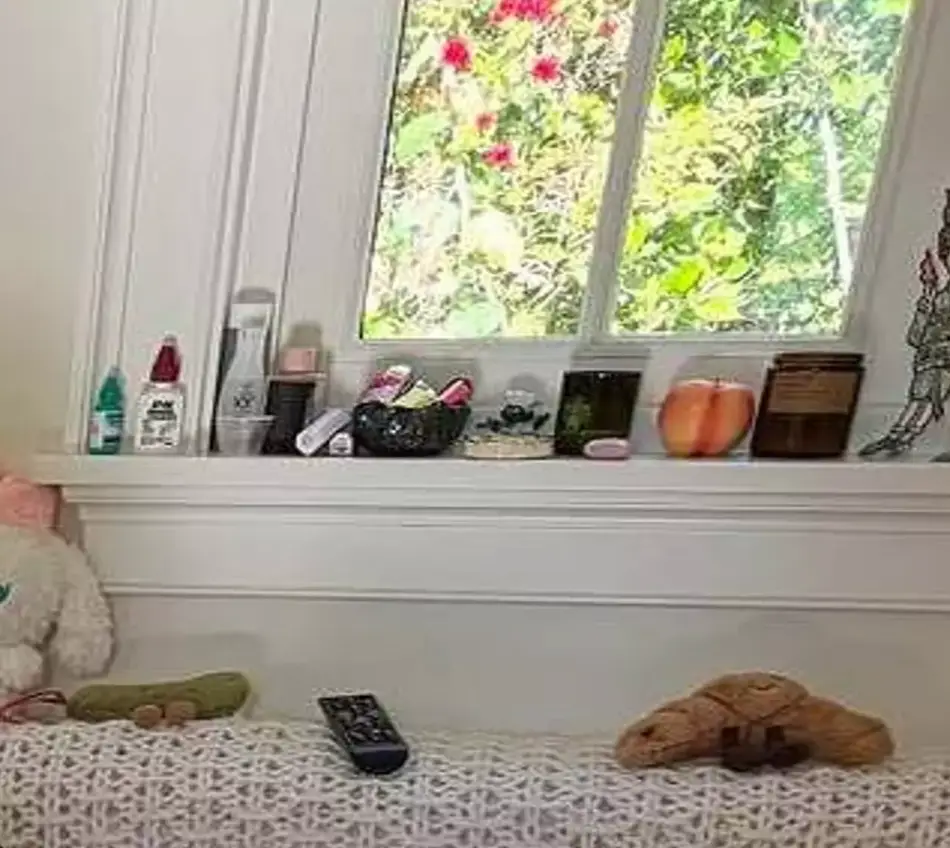 Can you spot it? (Instagram/@selenagomez)