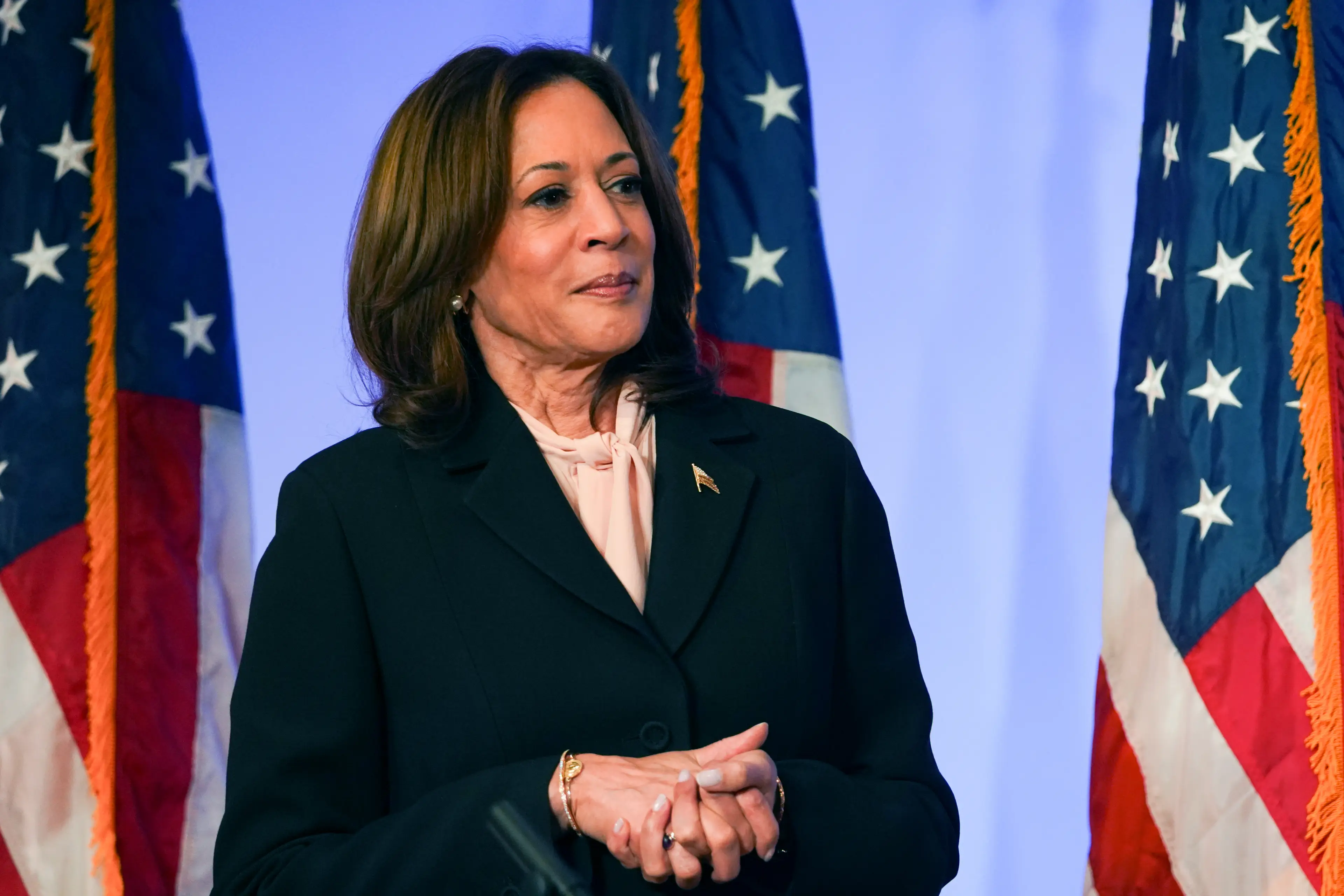 Kamala Harris took over as candidate after Biden stepped down (Megan Varner/Getty Images)