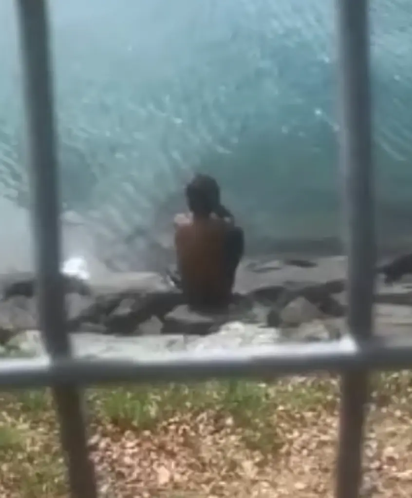 The father had been fishing by the water when his one-year-old son was attacked by a crocodile (Viral Press)