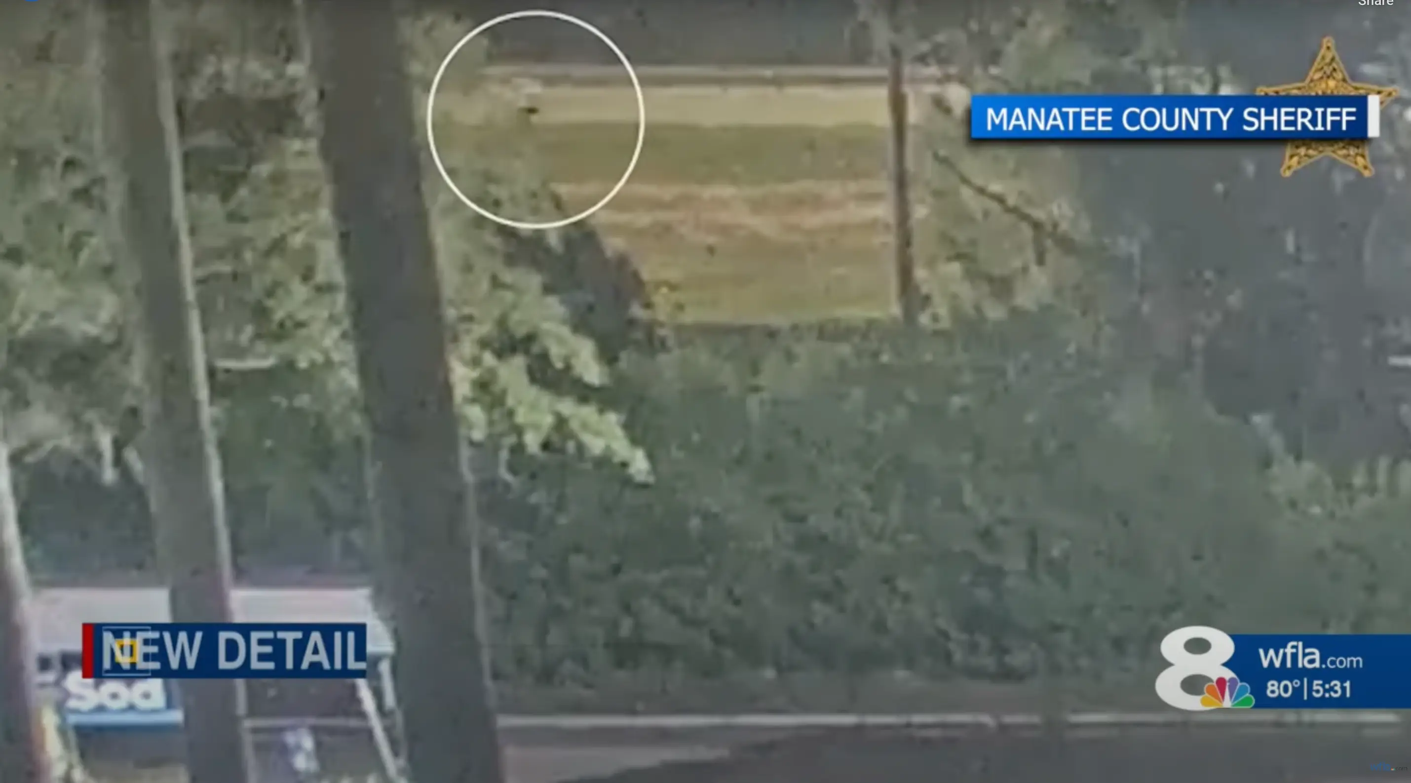 CCTV footage showed Giovanni was not being chased (WFLA)