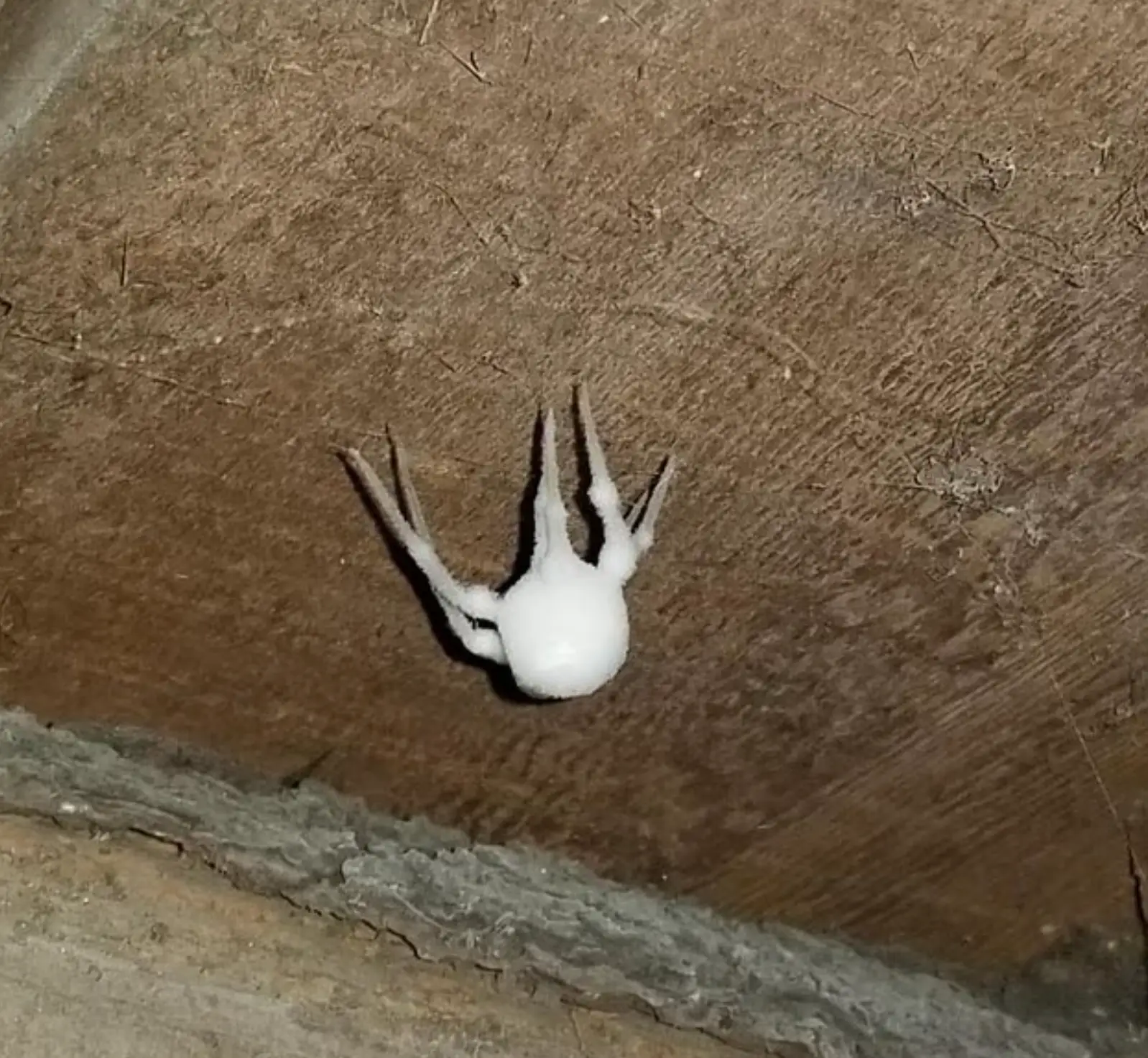 Yep, that's it (Reddit)