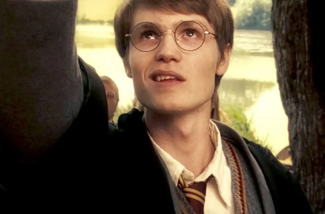 Jarvis played a younger James Potter in Order of the Phoenix (Warner Bros)